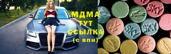 ешки Алексин