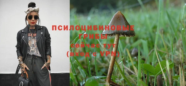 бошки Абаза