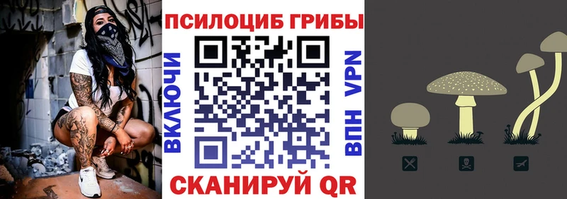Галлюциногенные грибы прущие грибы  наркота  Елизаветинская 